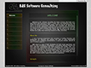 Dynamic FLASH Website of BAC Software Consulting.