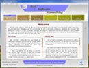 FLASH Website of BAC Software Consulting.